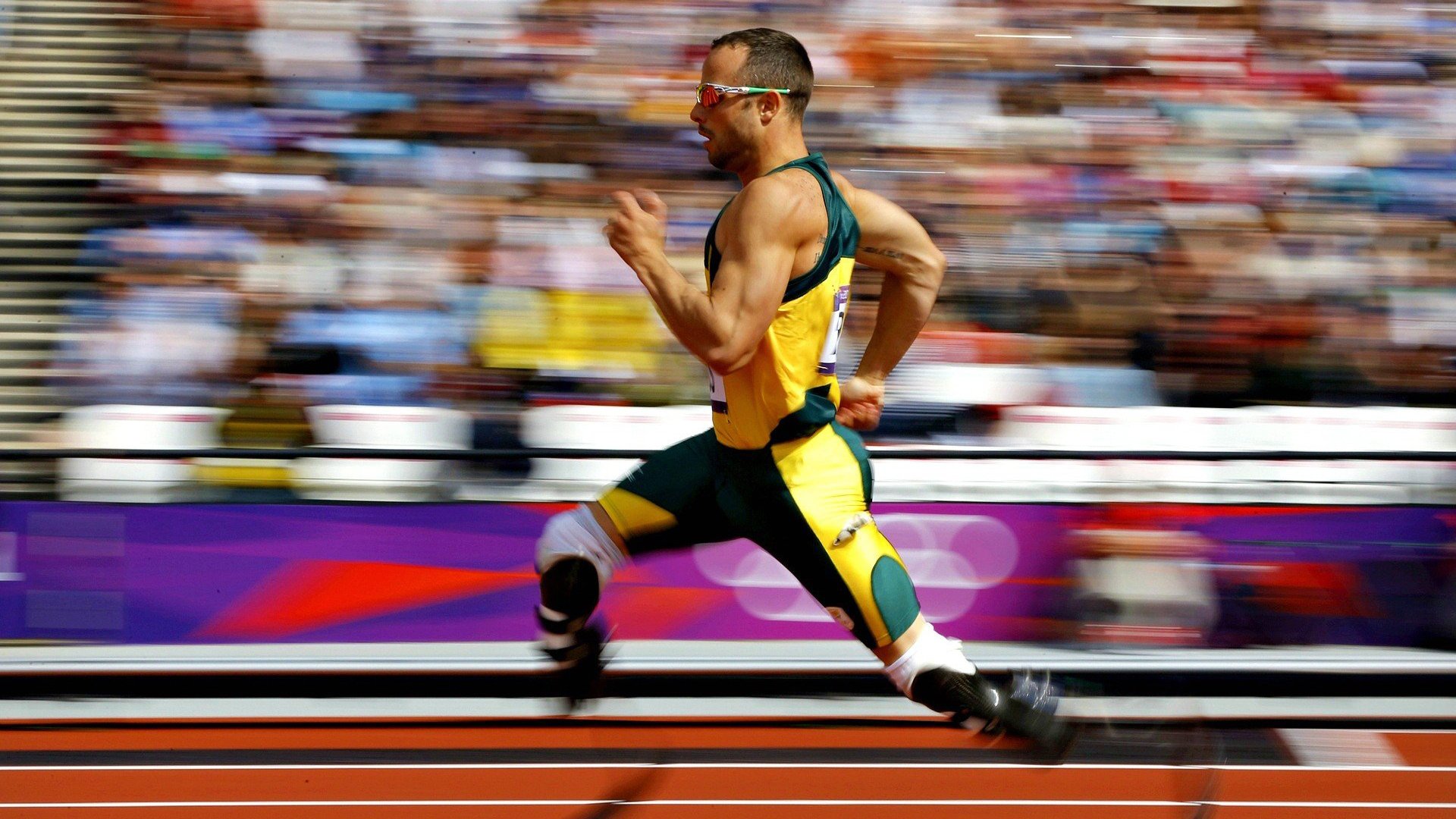 体育新闻中心推进体育影像档案管理系统建设，体育档案目录