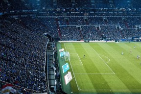 张伟丽晋级八强赛后感谢团队付出，张伟丽这场比赛能拿多少钱